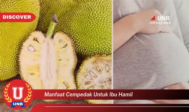 manfaat cempedak untuk ibu hamil manfaat cempedak untuk ibu hamil