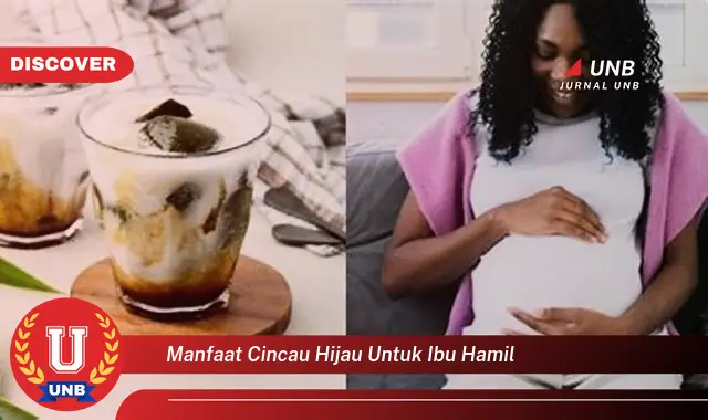 manfaat cincau hijau untuk ibu hamil