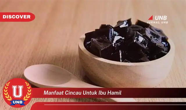 manfaat cincau untuk ibu hamil