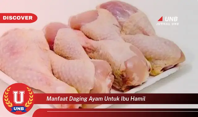 manfaat daging ayam untuk ibu hamil