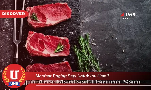 manfaat daging sapi untuk ibu hamil manfaat daging sapi untuk ibu hamil