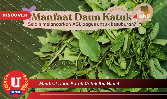 manfaat daun katuk untuk ibu hamil