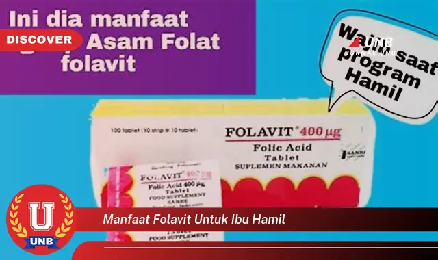 manfaat folavit untuk ibu hamil manfaat folavit untuk ibu hamil