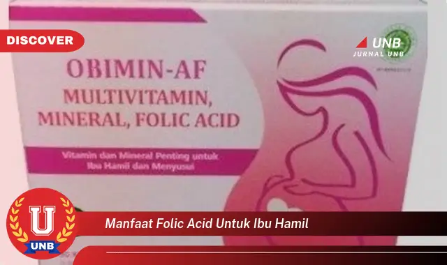 manfaat folic acid untuk ibu hamil manfaat folic acid untuk ibu hamil