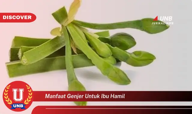 manfaat genjer untuk ibu hamil manfaat genjer untuk ibu hamil