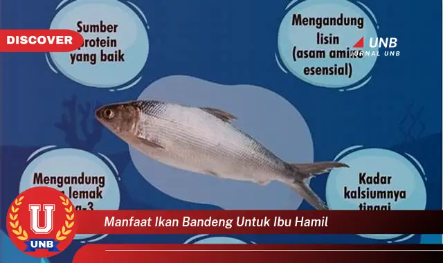 manfaat ikan bandeng untuk ibu hamil