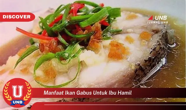 manfaat ikan gabus untuk ibu hamil manfaat ikan gabus untuk ibu hamil