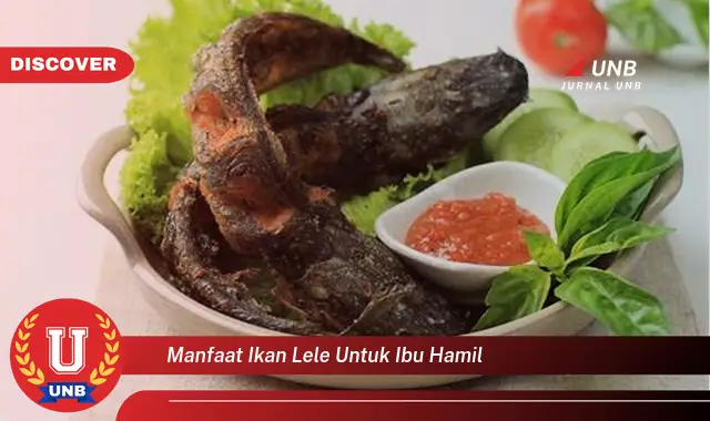 manfaat ikan lele untuk ibu hamil