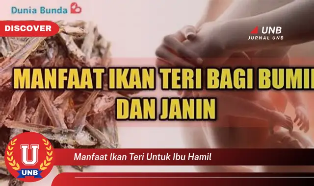manfaat ikan teri untuk ibu hamil