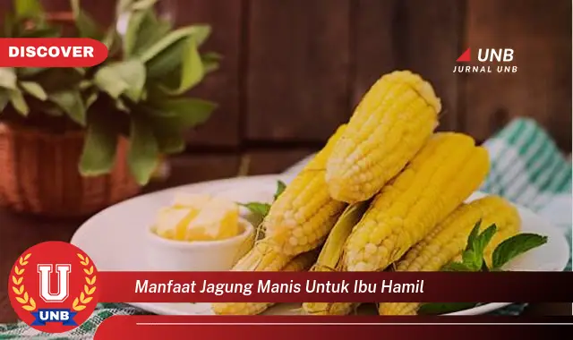 manfaat jagung manis untuk ibu hamil manfaat jagung manis untuk ibu hamil