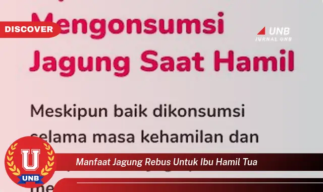 manfaat jagung rebus untuk ibu hamil tua