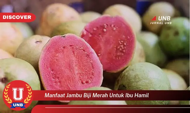 manfaat jambu biji merah untuk ibu hamil