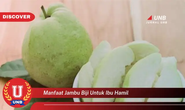 manfaat jambu biji untuk ibu hamil manfaat jambu biji untuk ibu hamil