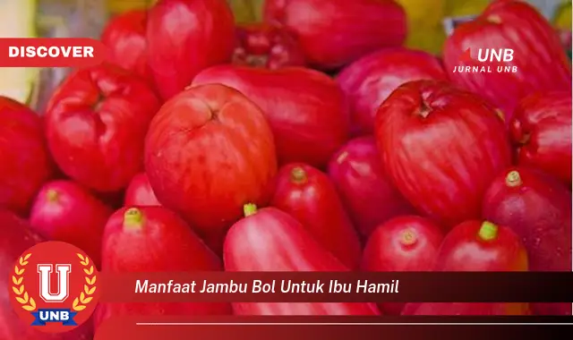 manfaat jambu bol untuk ibu hamil