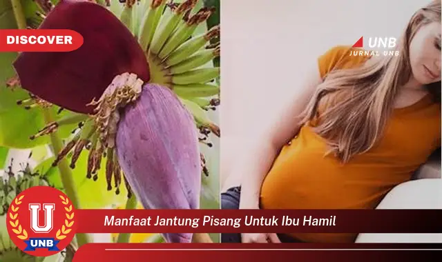Intip 6 Manfaat Jantung Pisang untuk Ibu Hamil yang Wajib Kamu Intip