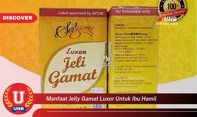 Intip 6 Manfaat Jelly Gamat Luxor untuk Ibu Hamil yang Wajib Kamu Intip