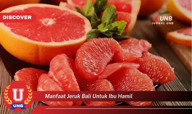 manfaat jeruk bali untuk ibu hamil