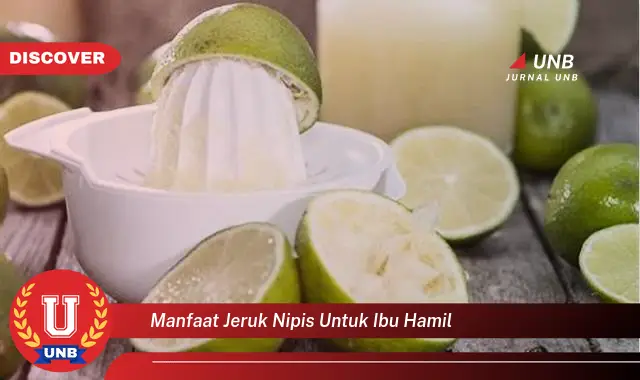 manfaat jeruk nipis untuk ibu hamil manfaat jeruk nipis untuk ibu hamil