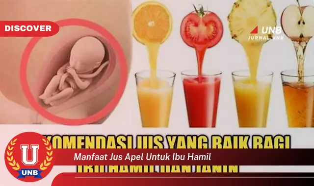 manfaat jus apel untuk ibu hamil manfaat jus apel untuk ibu hamil