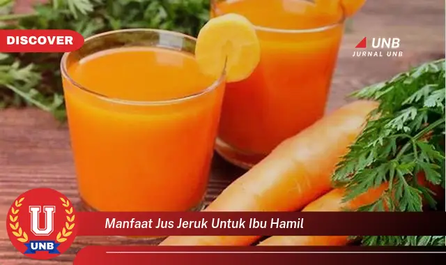 manfaat jus jeruk untuk ibu hamil