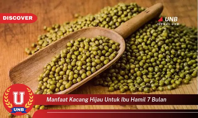 manfaat kacang hijau untuk ibu hamil 7 bulan manfaat kacang hijau untuk ibu hamil 7 bulan