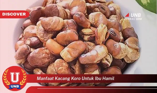 manfaat kacang koro untuk ibu hamil manfaat kacang koro untuk ibu hamil