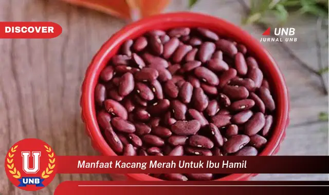 manfaat kacang merah untuk ibu hamil