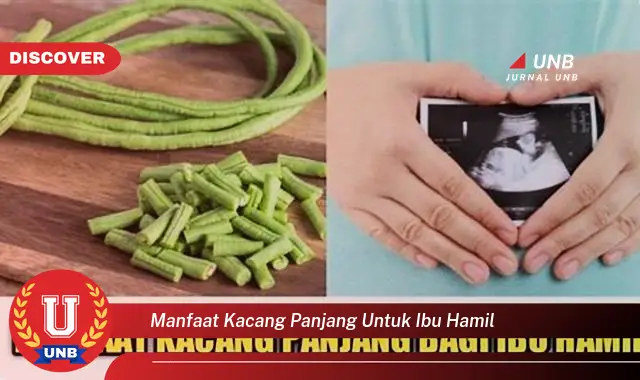 manfaat kacang panjang untuk ibu hamil manfaat kacang panjang untuk ibu hamil