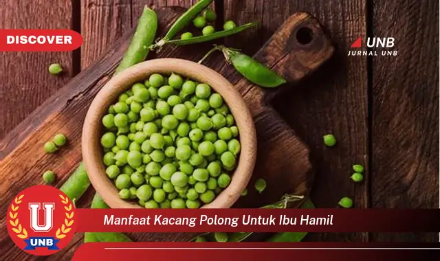 manfaat kacang polong untuk ibu hamil manfaat kacang polong untuk ibu hamil