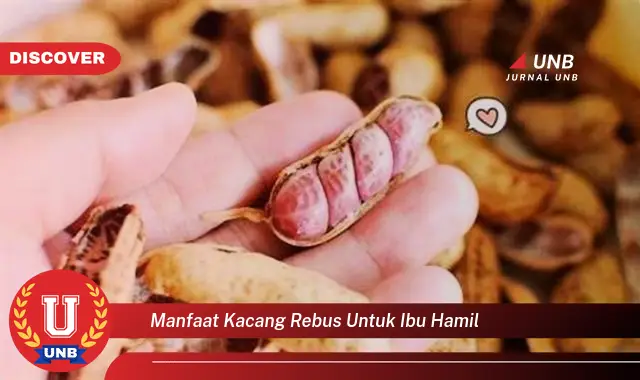 manfaat kacang rebus untuk ibu hamil