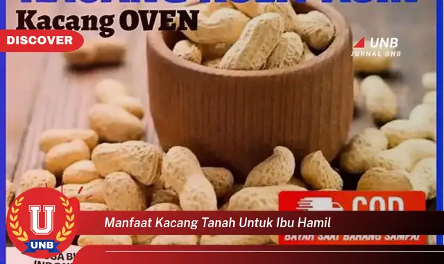 manfaat kacang tanah untuk ibu hamil