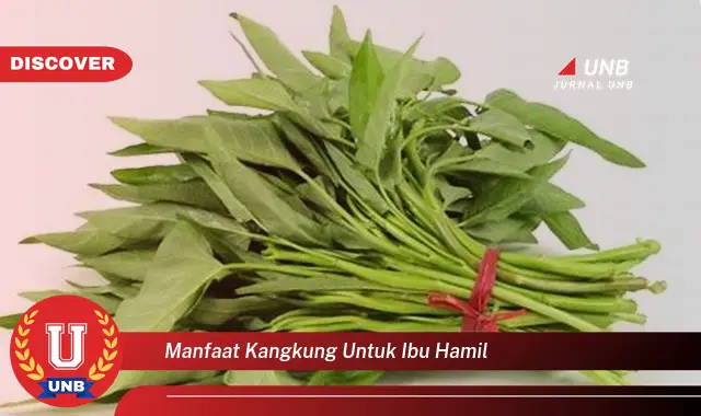 manfaat kangkung untuk ibu hamil