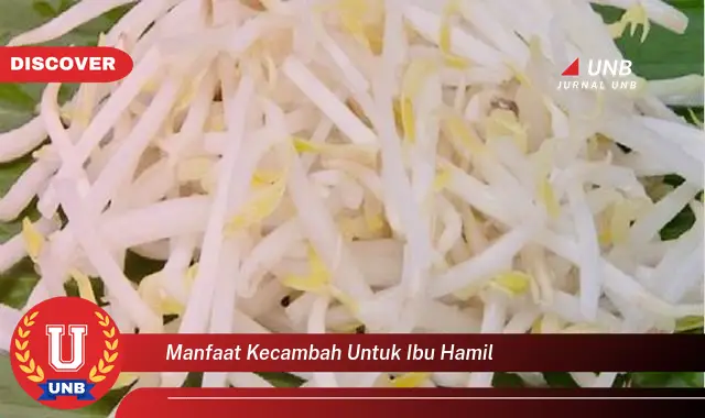 manfaat kecambah untuk ibu hamil