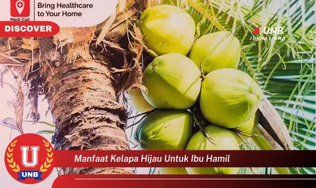 manfaat kelapa hijau untuk ibu hamil