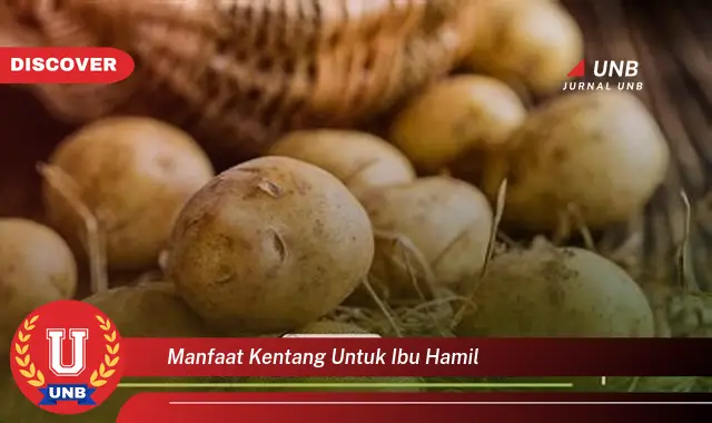 manfaat kentang untuk ibu hamil