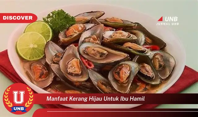 manfaat kerang hijau untuk ibu hamil