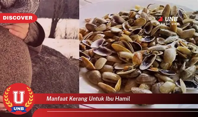 manfaat kerang untuk ibu hamil