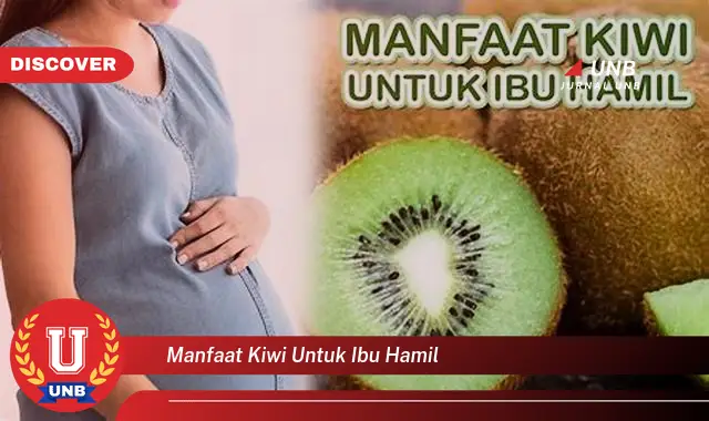 manfaat kiwi untuk ibu hamil manfaat kiwi untuk ibu hamil
