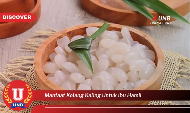 manfaat kolang kaling untuk ibu hamil