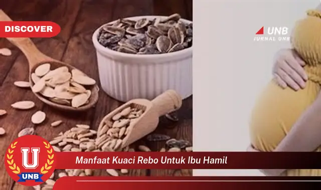 manfaat kuaci rebo untuk ibu hamil