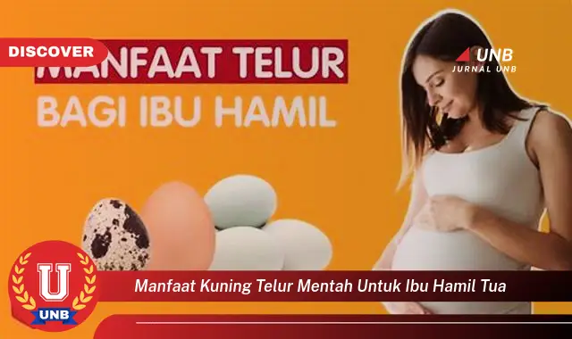 manfaat kuning telur mentah untuk ibu hamil tua