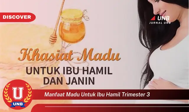 manfaat madu untuk ibu hamil trimester 3