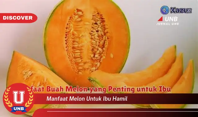 manfaat melon untuk ibu hamil