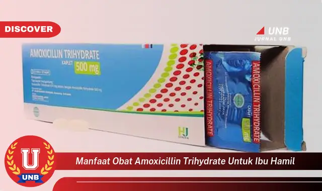 manfaat obat amoxicillin trihydrate untuk ibu hamil