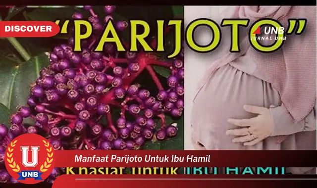 manfaat parijoto untuk ibu hamil manfaat parijoto untuk ibu hamil