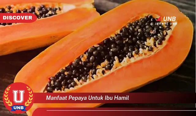 manfaat pepaya untuk ibu hamil