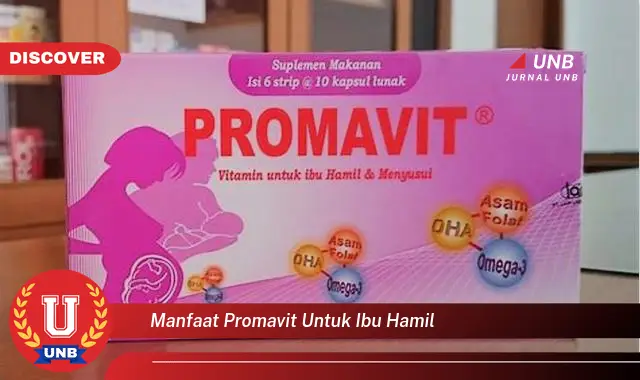 manfaat promavit untuk ibu hamil manfaat promavit untuk ibu hamil