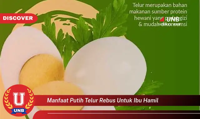 manfaat putih telur rebus untuk ibu hamil