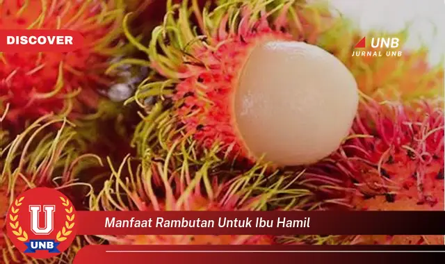 manfaat rambutan untuk ibu hamil