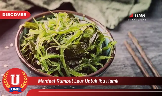 manfaat rumput laut untuk ibu hamil